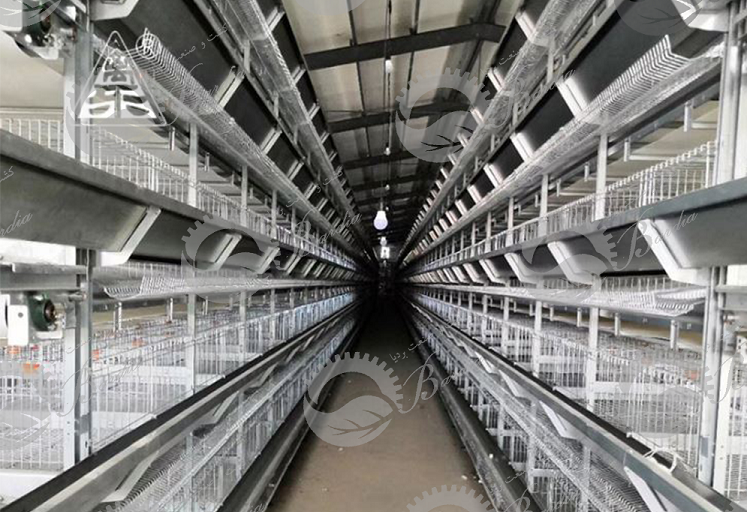 خرید قفس اتوماتیک مرغ تخمگذار در انواع مختلف بدون واسطه