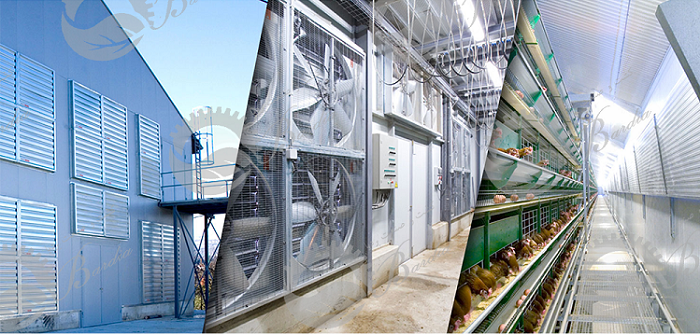 قیمت انواع لوازم مرغداری