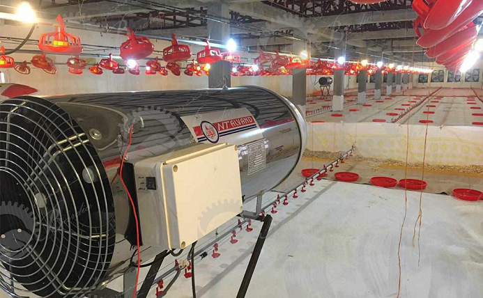 قیمت انواع لوازم مرغداری