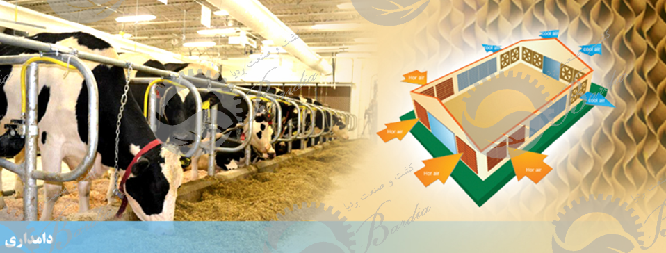 مرکز فروش پد سلولزی