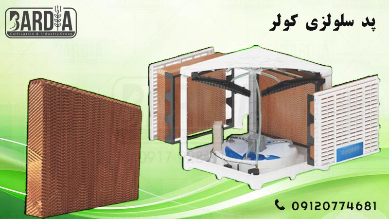 پد سلولزی کولر