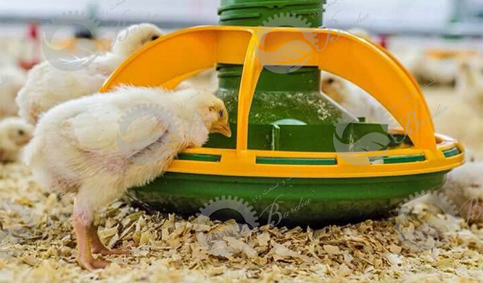 ساخت دانخوری برای مرغ