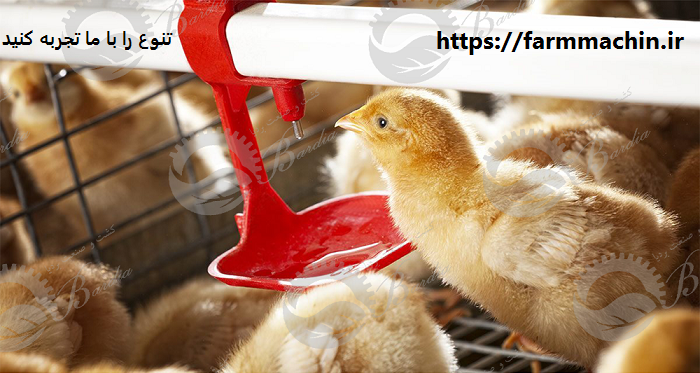 فروش آبخوری مرغداری