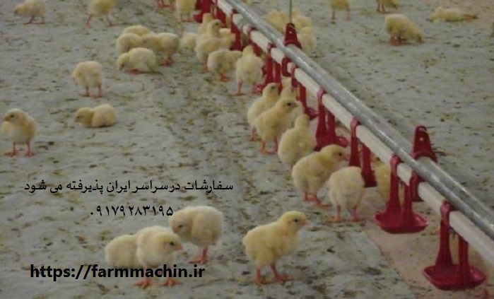 قیمت آبخوری نیپل مرغ
