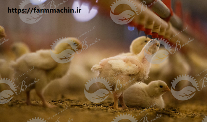 فروش آبخوری مرغداری