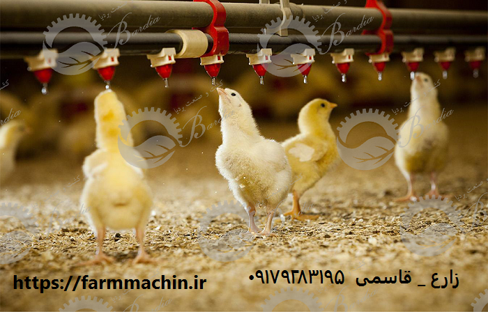 تولید کننده تجهیزات مرغداری