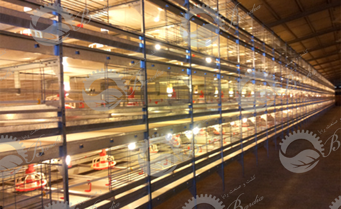 تولید تجهیزات سالن مرغداری