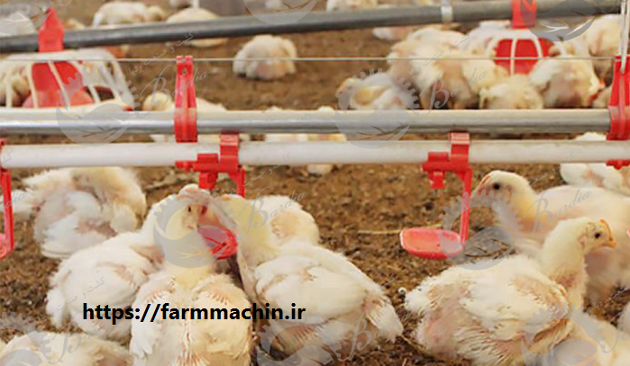 قیمت آبخوری نیپل مرغ