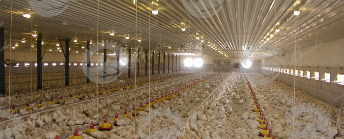 تولید تجهیزات سالن مرغداری