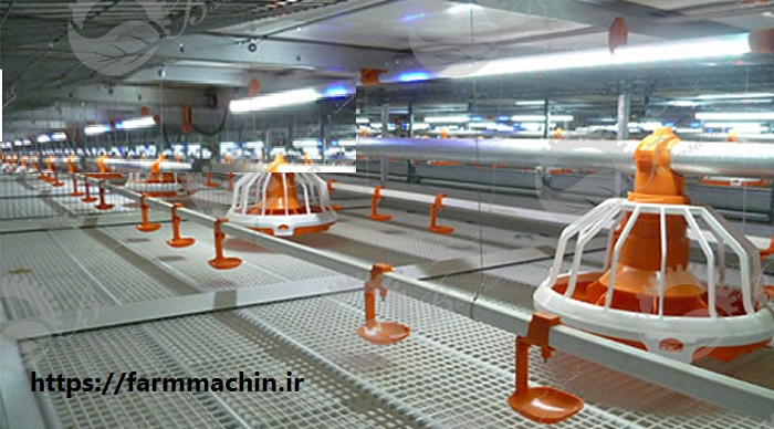 تولید تجهیزات سالن مرغداری