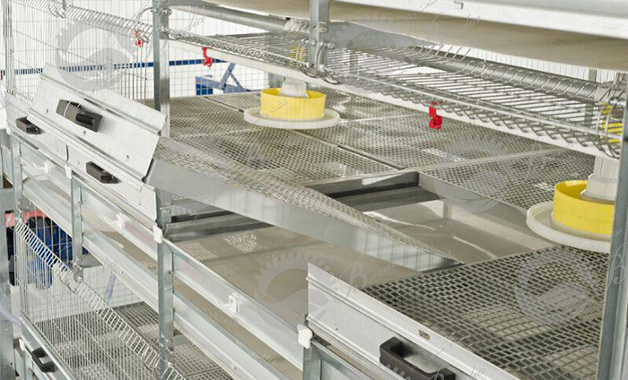 تولید تجهیزات سالن مرغداری