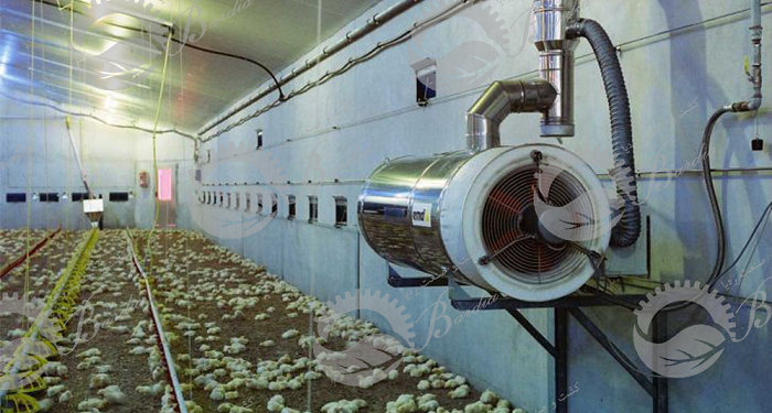 تولید تجهیزات سالن مرغداری