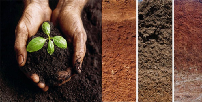 فروشگاه عرضه سموم