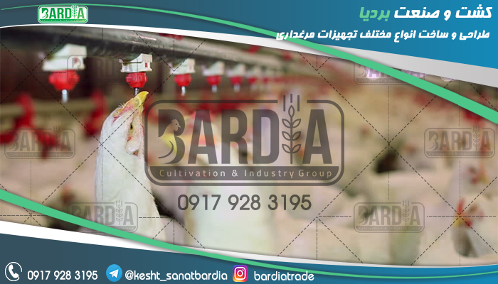 آبخوری تمام اتوماتیک نیپل