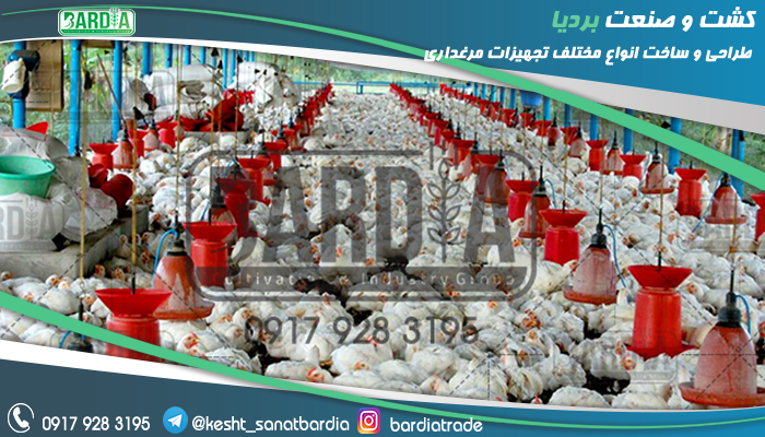 تجهیزات مرغداری