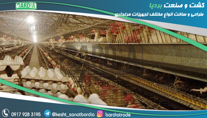قفس پرورش مرغ