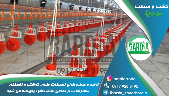 قیمت آبخوری مرغ