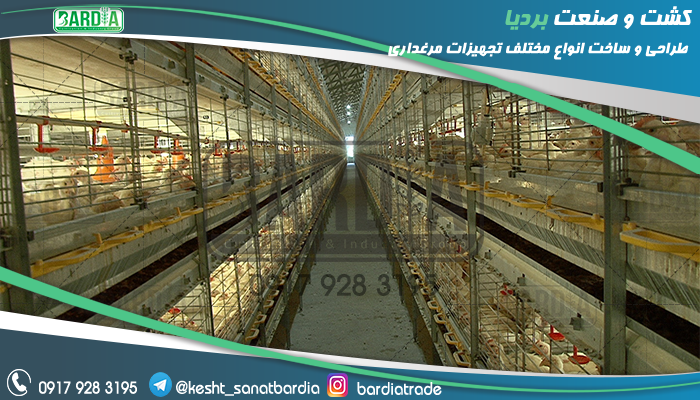 قفس پرورش مرغ
