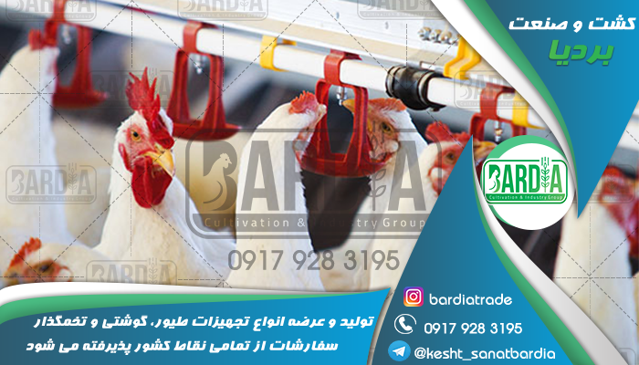 قیمت آبخوری مرغ