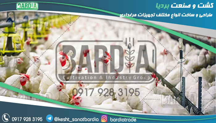 تجهیزات مرغداری