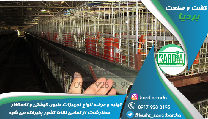 قفس پرورش مرغ