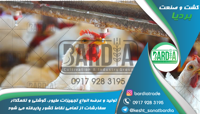 قیمت آبخوری مرغ