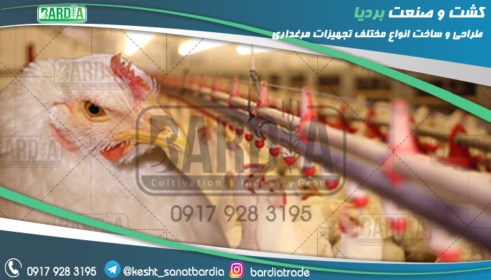 قیمت آبخوری مرغ