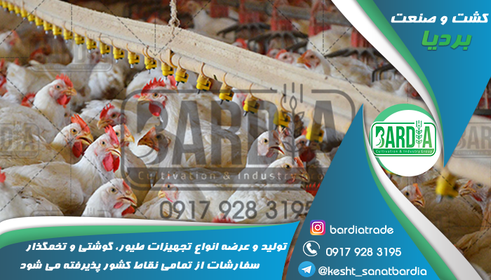 تجهیزات مرغداری