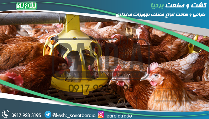 لوازم اتوماتیک مرغداری