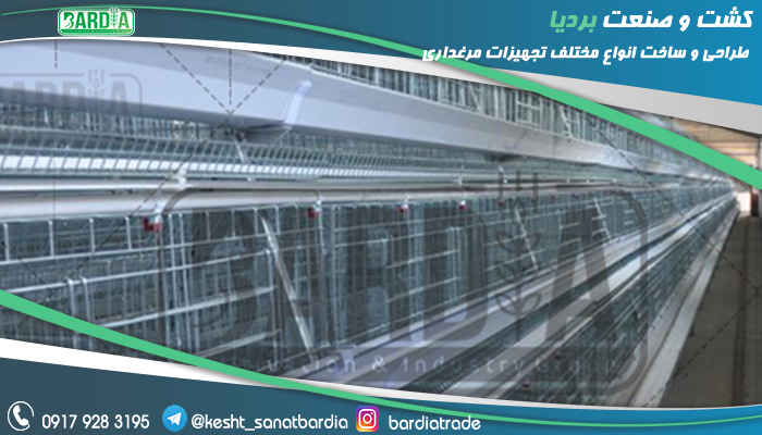 قفس پرورش مرغ