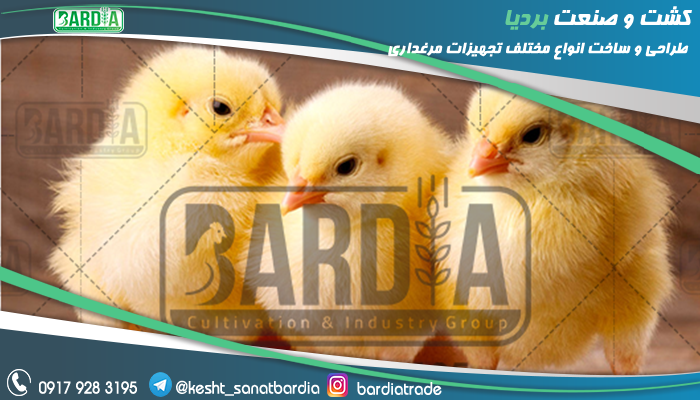 دانخوری آبخوری اتوماتیک