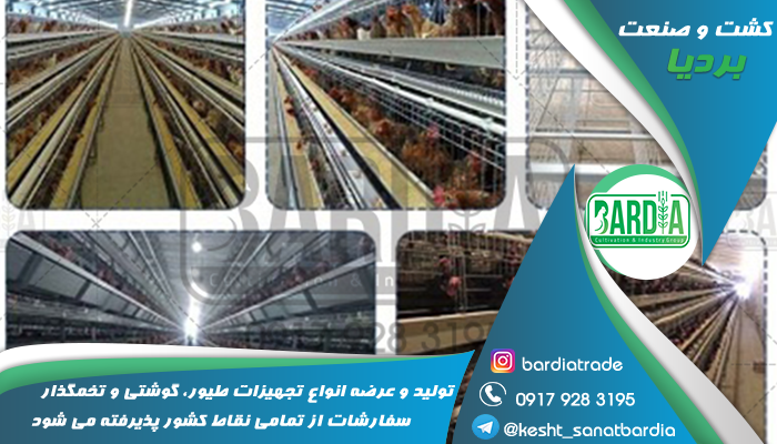 قفس پرورش مرغ