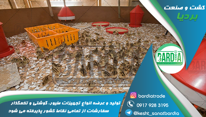 تجهیزات مرغداری