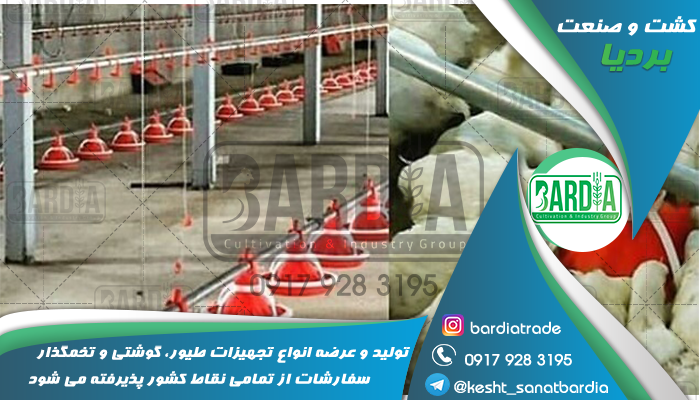دانخوری بشقابی مرغداری