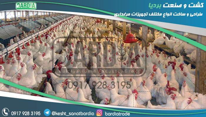 تجهیزات مرغداری گوشتی