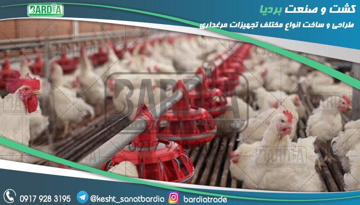 دانخوری بشقابی مرغداری