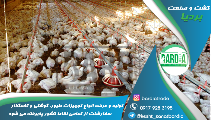 لوازم مرغداری دست دوم