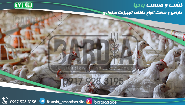 لوازم مرغداری دست دوم