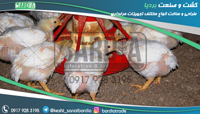 دانخوری اتوماتیک مرغداری