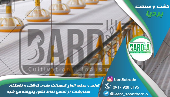 تجهیزات مرغ گوشتی