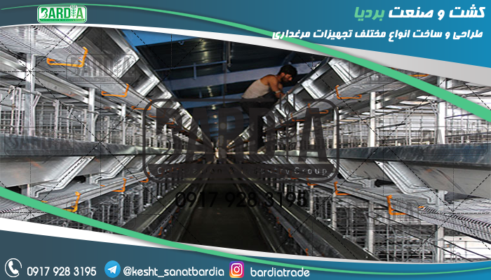 ساخت قفس مرغ تخمگذار