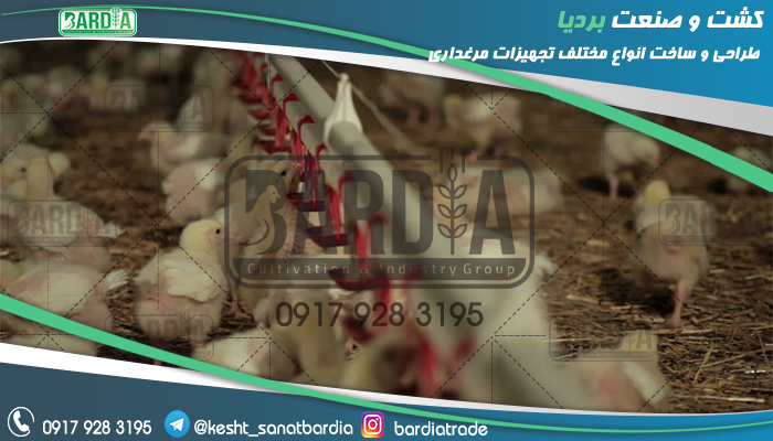 تجهیزات مرغ گوشتی