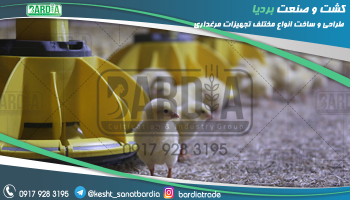دانخوری اتوماتیک مرغداری