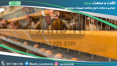 طراحی و ساخت قفس مرغ تخمگذار برای صادرات