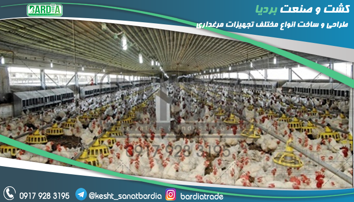 تجهیزات مرغداری گوشتی