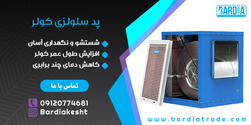 پد سلولزی کولر