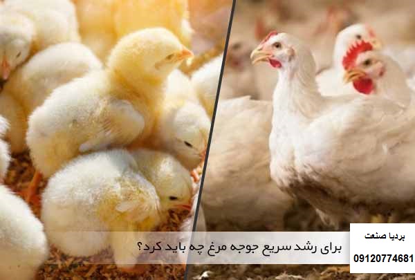 هیتر گازی مرغداری