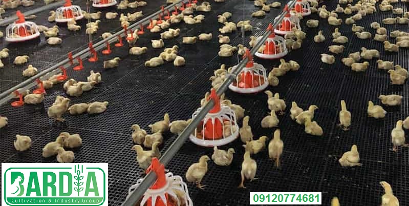 جت هیتر برای مرغداری