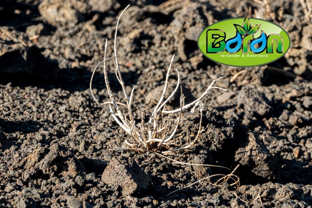 سمپاش گوگرد پاش