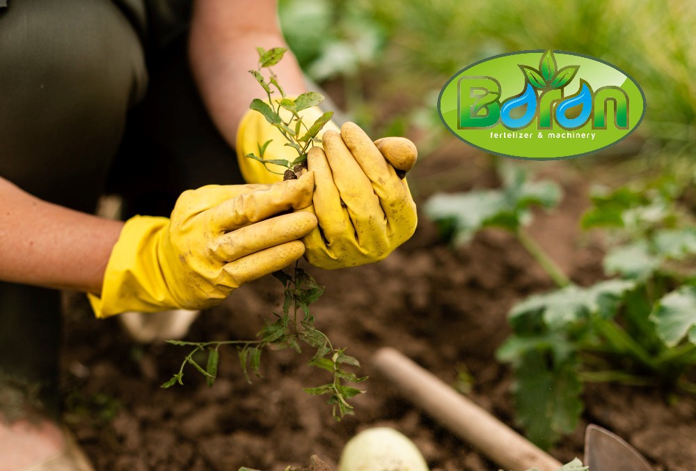 سمپاش گوگرد پاش